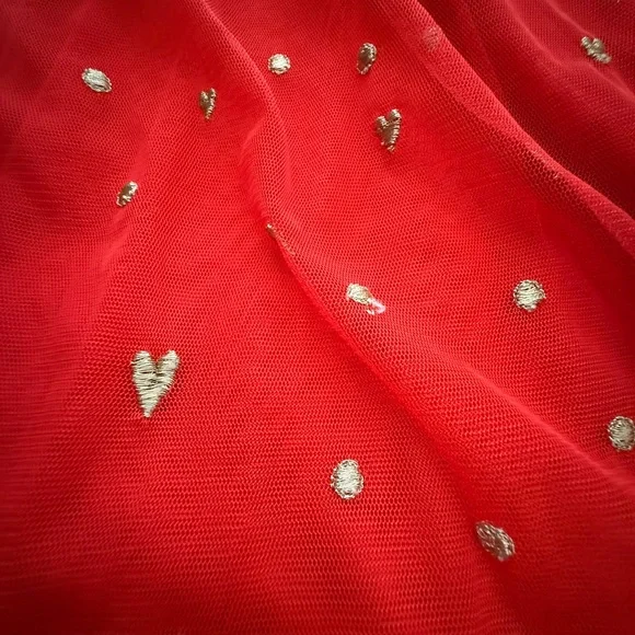 Hanna Andersson Tulle Dress Sz 12 - Picture 3 of 9